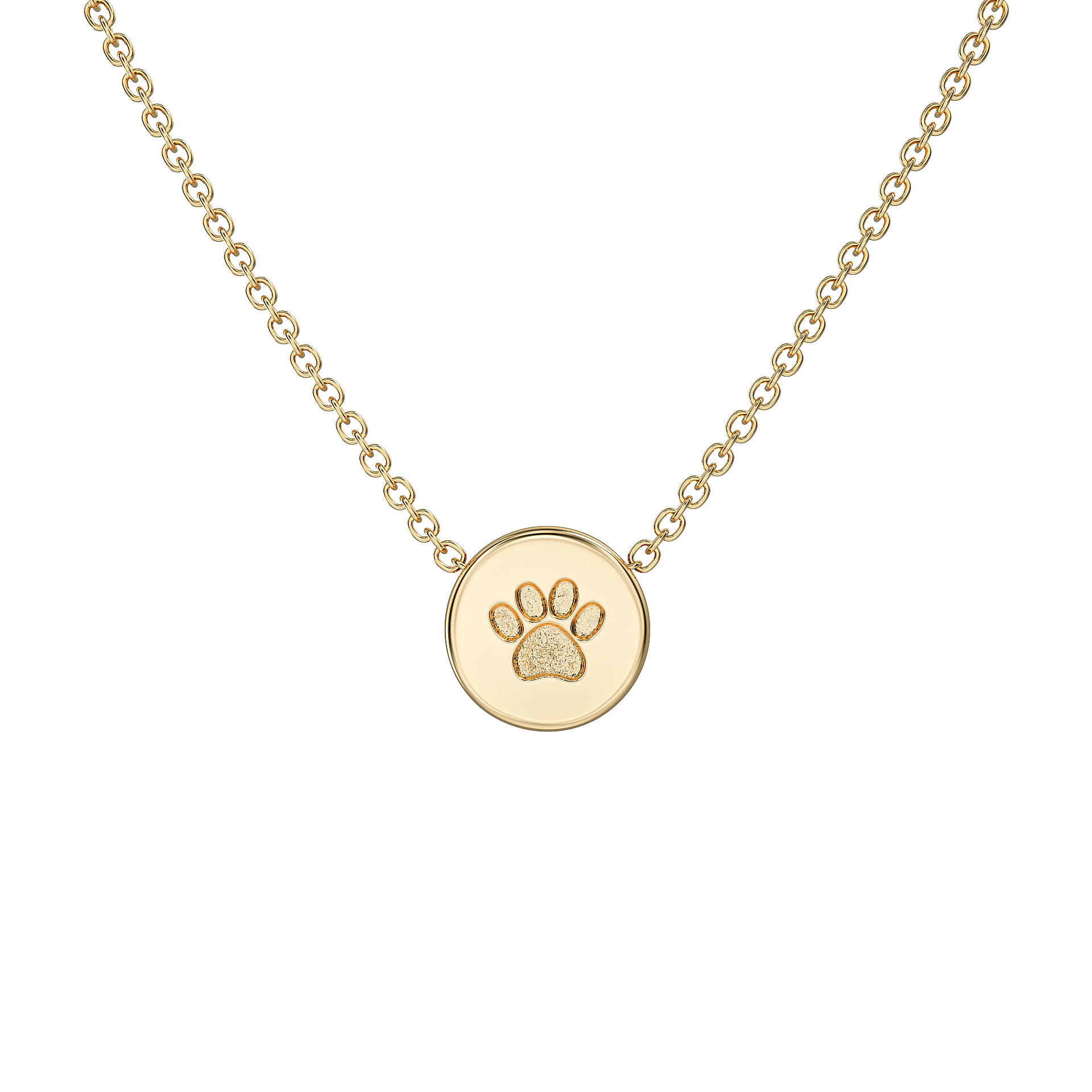 Love in a Jewel Paw Print Chic Pendant